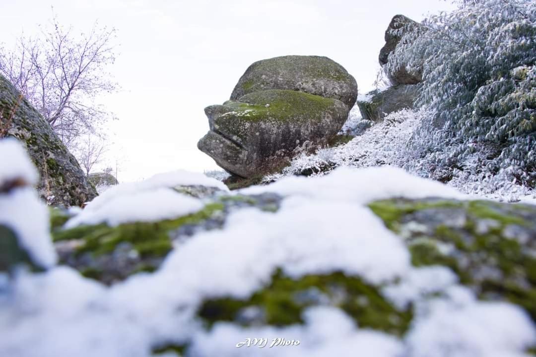 Casa Aguarela, Estilo Familiar Na Serra Da Estrela Sao Romao Екстериор снимка